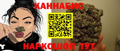 мдпв Долгопрудный