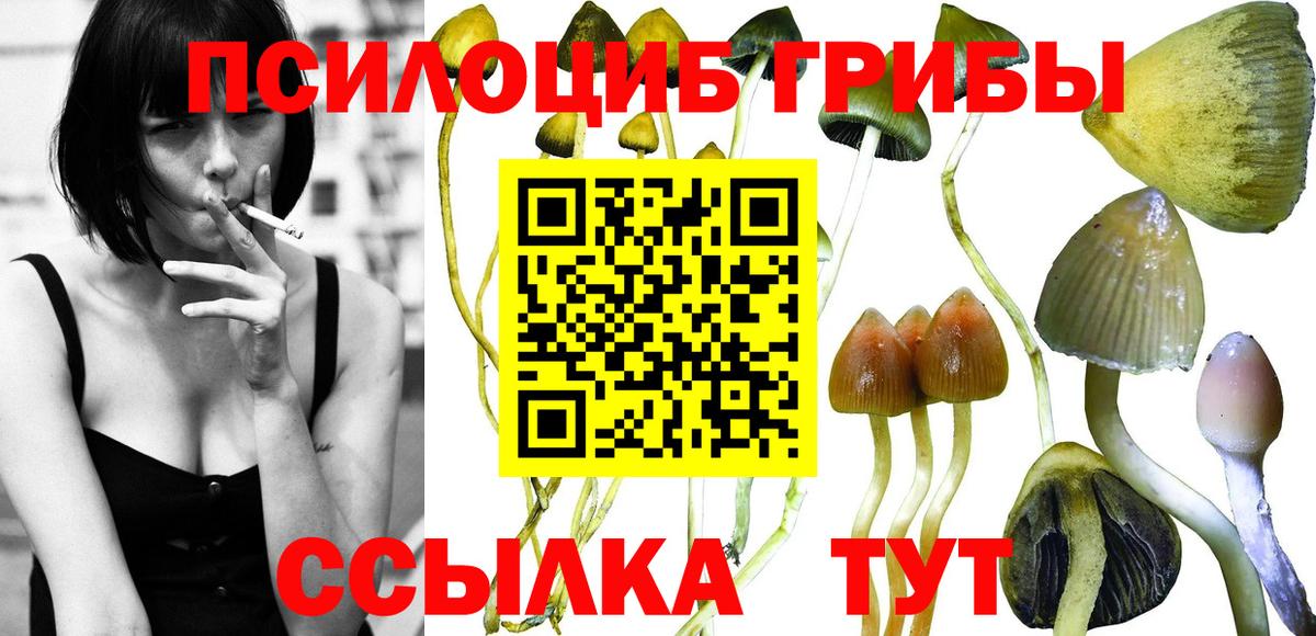 Псилоцибиновые грибы Psilocybe  Псилоцибиновые грибы Cubensis  Сургут  Вход с VPN 